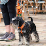 Dog Copenhagen Walk Harness Air Geschirr Classic rot V3