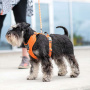 Dog Copenhagen Comfort Walk Pro V3 Geschirr Mocca braun