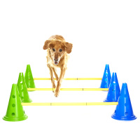 FitPAWS Canine Gym Dog Agility Kit Hürden-Set