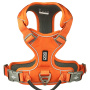 Dog Copenhagen Comfort Walk Pro V3 Geschirr  Orange Sun orange L