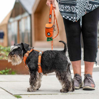 Dog Copenhagen Walk Harness Air Geschirr Ocean blau V3 L