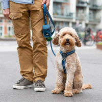 Dog Copenhagen Walk Harness Air Geschirr Ocean blau V3 L