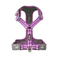 Dog Copenhagen Walk Harness Air Geschirr Purple Passion lila V3 L