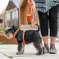 Dog Copenhagen Walk Harness Air Geschirr Wild Rose pink V3 XL