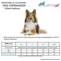 Dog Copenhagen Halsband Urban Explorer V3 Ocean Blau XS