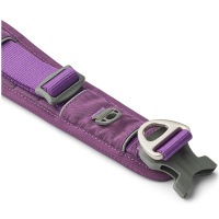 Dog Copenhagen Halsband Urban Explorer V3 Purple Passion lila XS