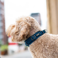 Dog Copenhagen Halsband Urban Explorer V3 Classic rot XS