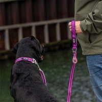 Dog Copenhagen Halsband Urban Style V3  Hunting Green grün M