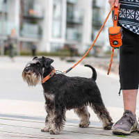 Dog Copenhagen Halsband Urban Style V3  Hunting Green grün M