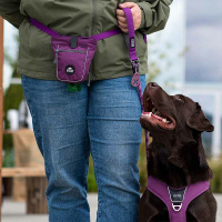 Dog Copenhagen Leine runde Führleine Urban Rope V3 Classic Rot S
