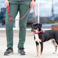 Dog Copenhagen Leine runde Führleine Urban Rope V3 Classic Rot S