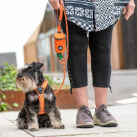 Dog Copenhagen Leine runde Führleine Urban Rope V3 Classic Rot S