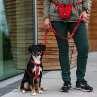 Dog Copenhagen Leine Führleine Urban Freestyle V3 Mocca braun L