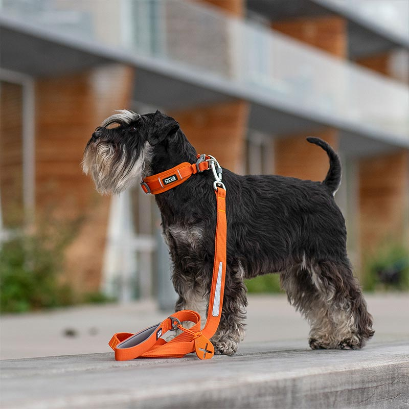 Dog Copenhagen Leine Führleine Urban Trail V3 Wild Rose pink S