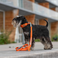 Dog Copenhagen Leine Führleine Urban Trail V3 Wild Rose pink L