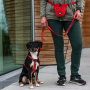 Dog Copenhagen Futterbeutel Treat Bag Go Explore Mocca braun