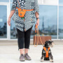 Dog Copenhagen Futterbeutel Treat Bag Go Explore Orange Sun orange