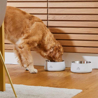 Dog Copenhagen Vega Bowl Futternapf Wassernapf Mint Green grün M/L