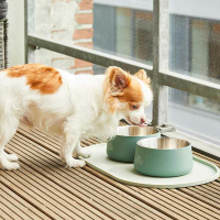 Dog Copenhagen Vega Bowl Futternapf Wassernapf Mint Green grün M/L