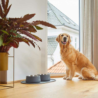 Dog Copenhagen Vega Bowl Futternapf Wassernapf Mint Green grün M/L