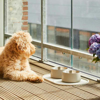 Dog Copenhagen Libra Placemat Napfunterlage in Cool Grey grau S