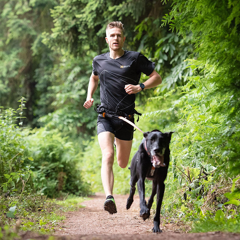 Non-stop dogwear Laufgurt Leinengurt caniX Belt 2.0