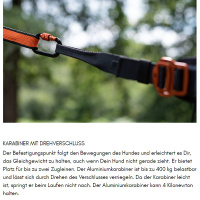 Non-stop dogwear Laufgurt Leinengurt caniX Belt 2.0