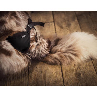 Hurtta Breezy Hundeschutzhose Hundeschutzhöschen bei Läufigkeit XS