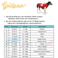 Goldpaw UV T-Shirt Sun Shield Tee Sonnenschutz LSF 50+ Baja Beach blau 12