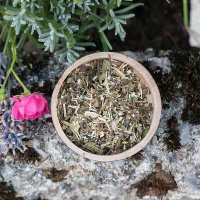 Tota Vi Naturae Kräutermischung High Age für Hunde 75g