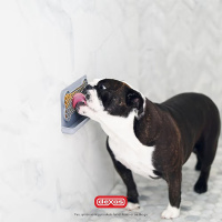 Dexas Snack & Distract Leckmatte Schleckmatte mit Tasche Knochen BLAU