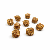 Lachsfleisch Mini Trainings-Taler getrocknet 1kg