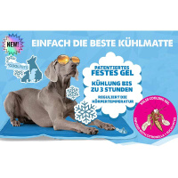 CoolPets Kühlmatte Kühldecke Premium mit Citronella & Eukalyptus XS 40x30cm