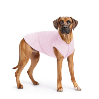 Goldpaw UV T-Shirt Sun Shield Tee Sonnenschutz LSF 50+ Pink Lemonade 28