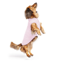 Goldpaw UV T-Shirt Sun Shield Tee Sonnenschutz LSF 50+ Pink Lemonade 28