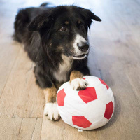 weicher Fussball für deinen Hund Ø 22cm rot