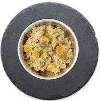 SANA Nass-Menü Lachs mit Spinat, Sanddornbeeren und...