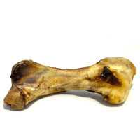 Straußenknochen einzeln - lang ca. 30cm