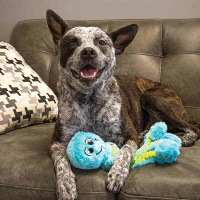 KONG Wubba Octopus LILA S