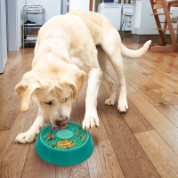 KONG Licks Spinz MINT L