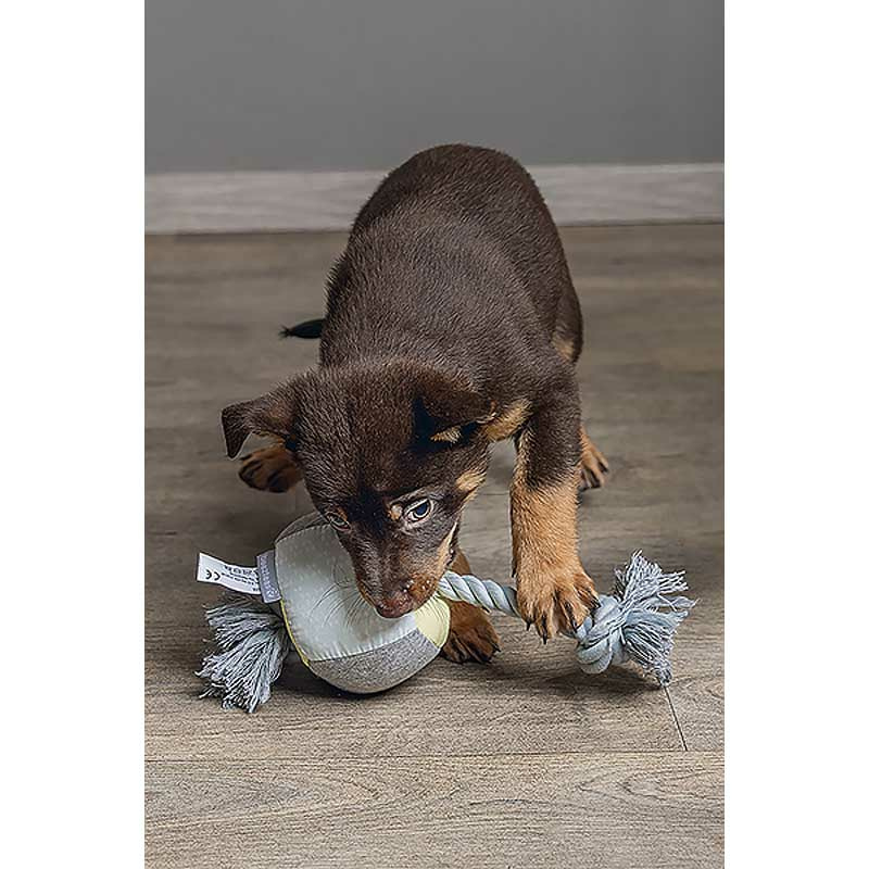 Beeztees Puppy Würfel+Seil KUBI Welpenspielzeug