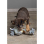 Beeztees Puppy Würfel+Seil KUBI Welpenspielzeug