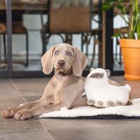 Beeztees Puppy LAMA  Welpenspielzeug