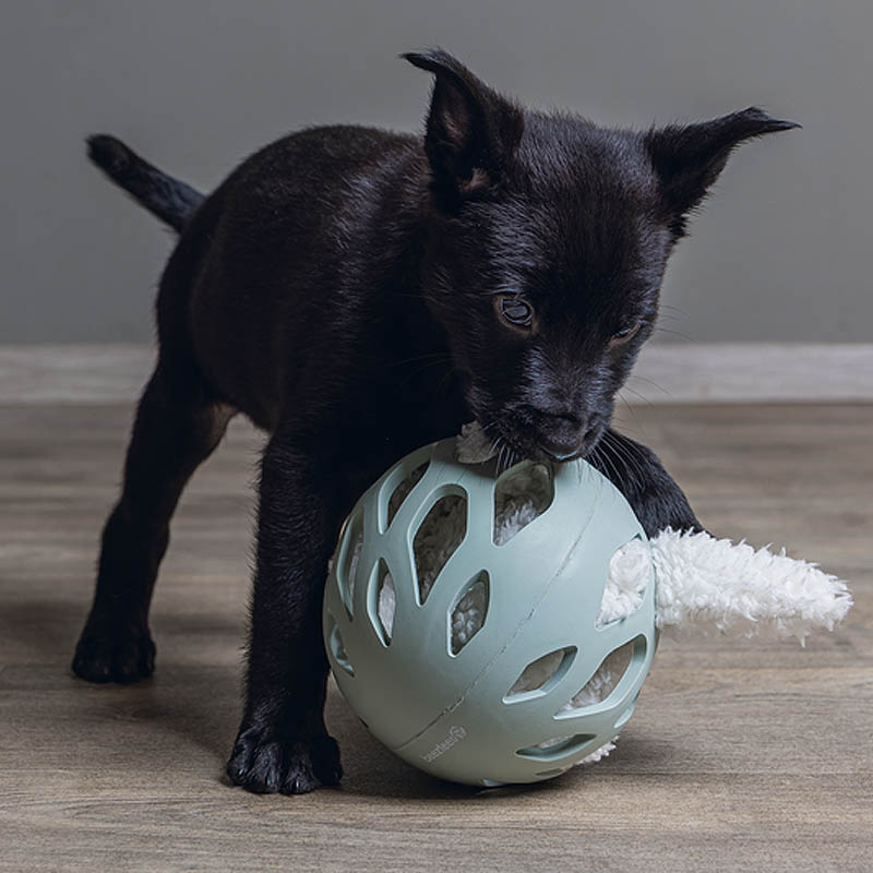 Beeztees Puppy Gummiball ODORO Welpenspielzeug