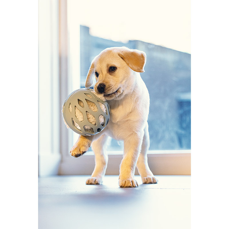 Beeztees Puppy Gummiball ODORO Welpenspielzeug