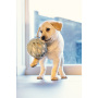 Beeztees Puppy Gummiball ODORO Welpenspielzeug