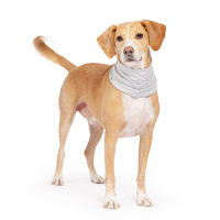Goldpaw UV Sun Shield Snood Halstuch Sonnenschutz LSF 50+ pebble grau M
