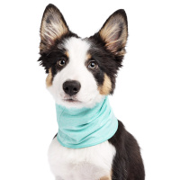 Goldpaw UV Sun Shield Snood Halstuch Sonnenschutz LSF 50+ baja beach blau M