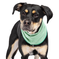 Goldpaw UV Sun Shield Snood Halstuch Sonnenschutz LSF 50+ pistazie grün XL