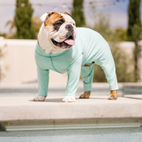 Goldpaw Sun Suit UV Overall mit Beinen Sonnenschutz LSF 50+ Baja Beach blau 28